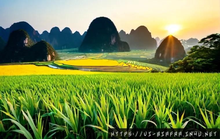 Khủng hoảng người tị nạn Biafra: bối cảnh, hậu quả nhân đạo và cách đánh giá thông tin 4 비아프라 난민 위기 관련 이미지 2